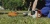 Триммер бензиновый STIHL FS 55 (1 л.с.; Леска/Нож; Прямая) аренда в Перми Триммер бензиновый STIHL FS 55 (1 л.с.; Леска/Нож; Прямая) прокат